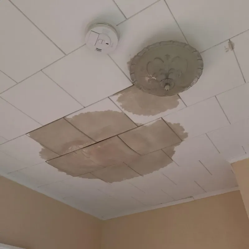 Ceiling Water Damage Repair in Sherwood, AR
