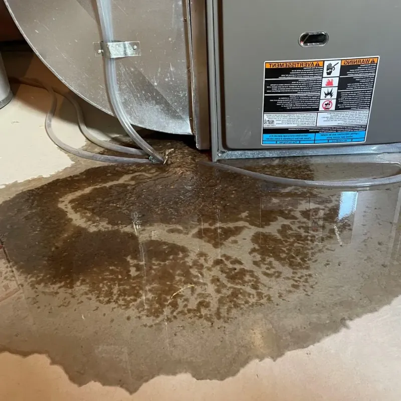 Pipe Burst and Leak Restoration in Sherwood, AR